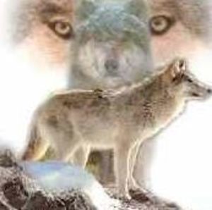 Meet your Posher, Patty